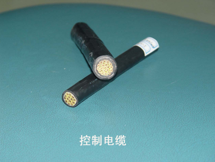 乐动（中国）