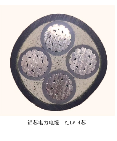 乐动（中国）