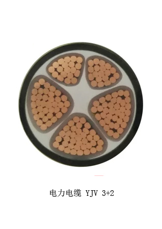 乐动（中国）