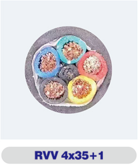 乐动（中国）